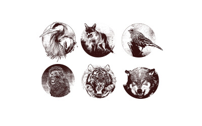 Animaux Set Vol.2 Illustration