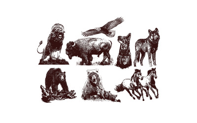 Zvířata Set Vol.1 Ilustrace