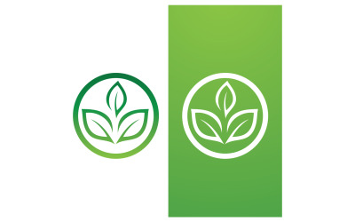 Eko liść zielony świeży charakter przejść zielone drzewo szablon projektu logo v10