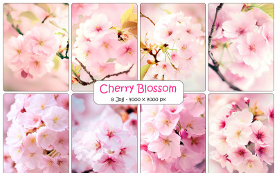 Pink cherry blossom background and Realistic sakura with pink flowers and falling petals
