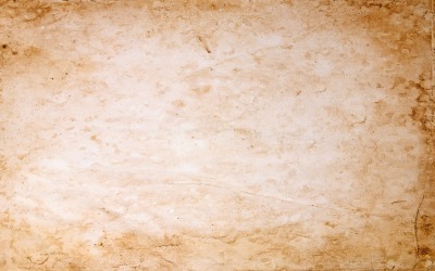 Vintage paper a lengthy  texture background