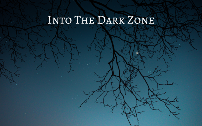 Into The Dark Zone - Elektronisk musik - Aktiemusik