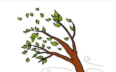Wind blowing leaves film environmental sound effects