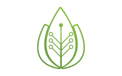 Green eco leaf nature logo template v4
