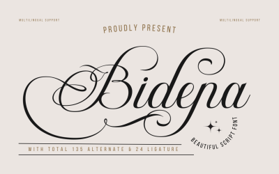 Bidena | Perfekte Skriptschrift