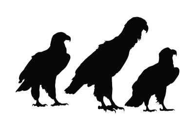 Adler sitzende Silhouettensammlung