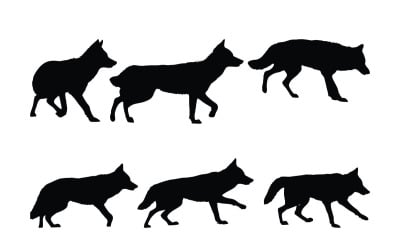 Coyote wolf walking siluett bunt
