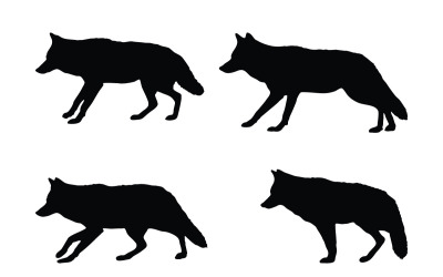 Wilde coyote silhouet collectie vector