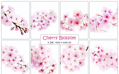 Rama de flor de cerezo de sakura rosa realista con fondo floral