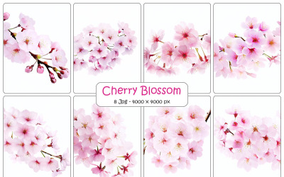 Realistic pink sakura cherry blossom flower branch with floral background
