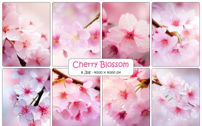 Sakura cherry blossom bakgrund, realistisk körsbär blossom med rosa sakura blomma