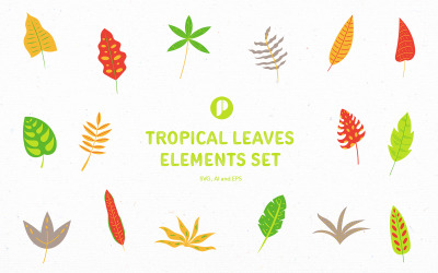 Conjunto de elementos de folhas tropicais