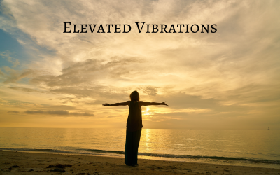 Elevated Vibrations - Corporativo - Colección de música