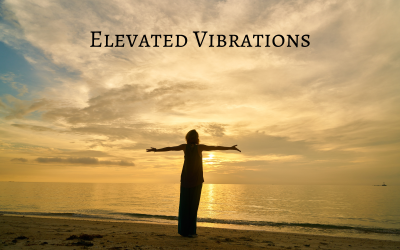 Elevated Vibrations - 公司 - 股票音乐