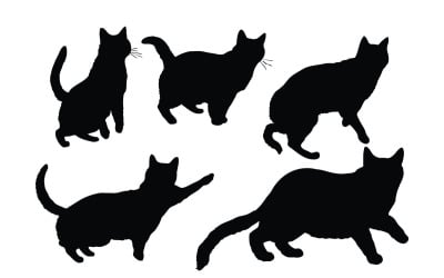Kedi farklı pozisyonlarda siluet