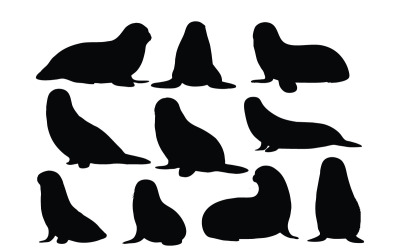 Kleine zeeleeuw silhouet set vector
