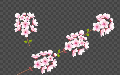 Vector akvarell körsbärsblommor vektor. cherry blossom blomma blommande vektor. rosa sakura blomma
