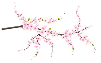 vector bloemen met kersenbloesems in volle bloei op een roze sakura bloemontwerpidee