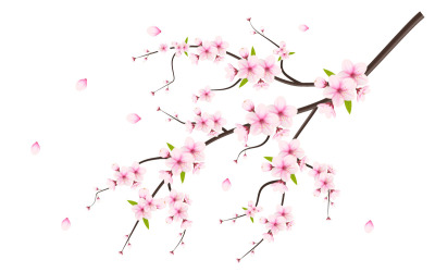 vektor blommig med körsbärsblommor i full blom på en rosa sakura blomma idé