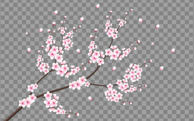 vektor blommig med körsbärsblommor i full blom på en rosa sakura blomma stil