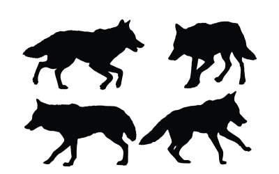 Coyote caminando en diferentes posiciones vector