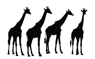 Wild giraffe standing silhouette vector
