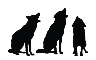 Collection de silhouettes de loups carnivores