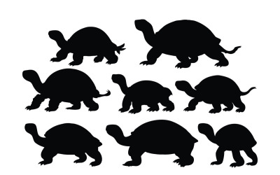 Kaplumbağa ve kaplumbağa siluet vektörü