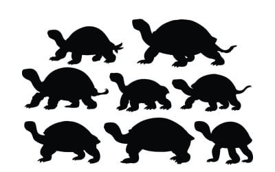 Schildkröten- und Schildkröten-Silhouettenvektor