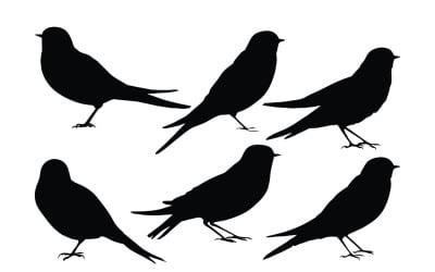 Uccelli seduti collezione silhouette