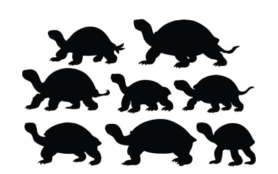 Vector de silueta de tortuga y tortuga