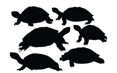 Vettore di sagoma strisciante tartaruga selvatica