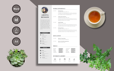 Шаблон резюме-Arieta, редактируемый