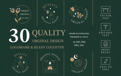 30 hoogwaardige originele ontwerpklare logo&amp;#39;s