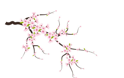 Cseresznye virágok és szirmok illusztráció, cseresznyevirág vektor. rózsaszín sakura virág