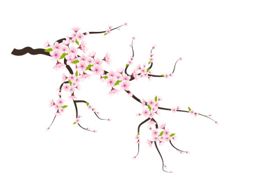 Körsbärsblommor och kronblad illustration, körsbärsblomningsvektor. rosa sakura blomma