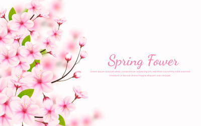 Realistischer blühender Kirschblütenhintergrund und Blütenblattillustration, Kirschblütenvektor