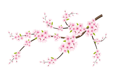 cherry blossom sakura gren isolerad på vit bakgrund. vektor design
