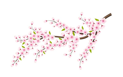 cherry blossom sakura gren isolerad på vit bakgrund. vektor illustration