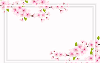 Körsbärsblommor vit ram med plats för text. Vektor illustration