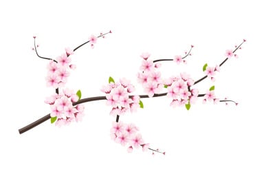 Cherry blossom branch with sakura flower.  cherry vector.  cherry bud. Pink sakura flower