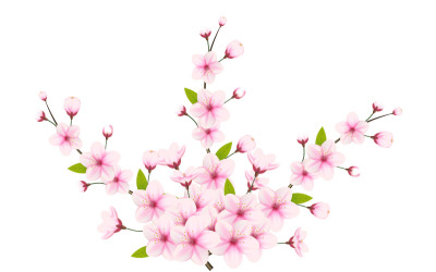 Třešňový květ větev s květem sakury. vektor třešňového květu. třešňový pupen. Růžový květ sakury