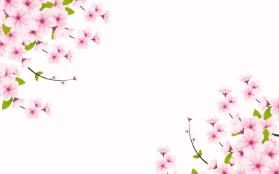Wiosna Sakura gałąź tło wektor ilustracja. Różowa Wiśnia