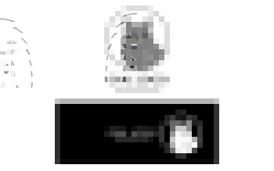 Baykuş Logo Tasarım Vektör Şablonu