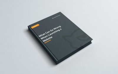 O que pode dar errado e-book gratuito