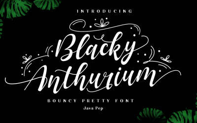 Blacky Anthurium / sprężysta ładna czcionka