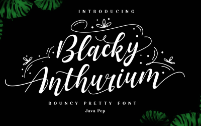 Blacky Anthurium / springerig mooi lettertype