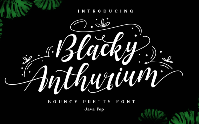 Blacky Anthurium / studsande vackert typsnitt