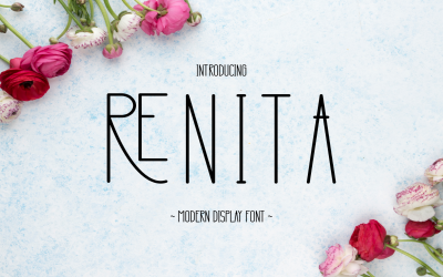 Renita: carattere di visualizzazione moderno