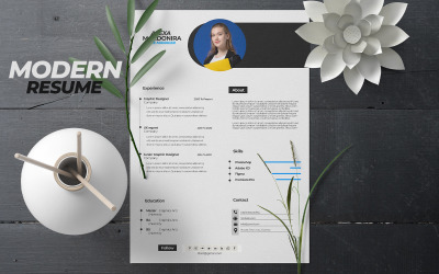 Modèle de CV | Modèle de CV professionnel | Facile à obtenir un emploi grâce à l&amp;#39;attraction de CV